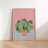 Chinese Money Plant Print