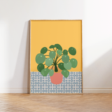 Chinese Money Plant Print