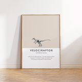 Velociraptor Dinosaur Fact Print